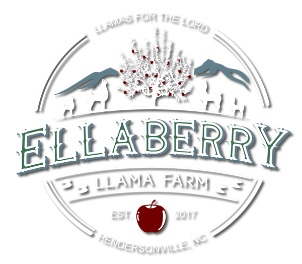 Ellaberry Llama Farm - Hendersonville, NC